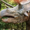 チョコ好き母@羽島