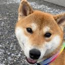 インハビタント