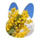 上乃屋まむ@かみのやま