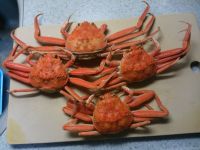 まぁ～さんに続け！ののトコで買った香箱ガニリベンジ！今度は、写真貼れてるかな？