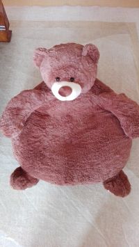 ハグファンクマのクッション