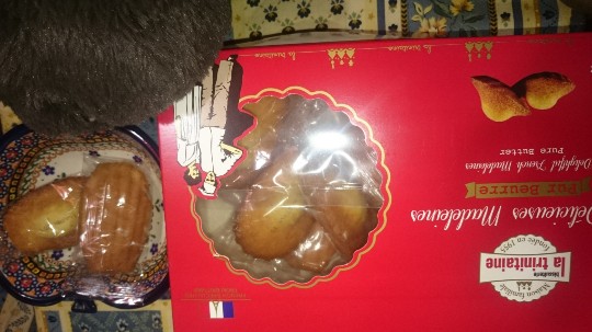 赤い箱のマドレーヌの写真