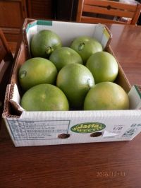 箱入りスウィーティー