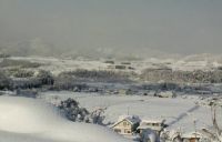 1/16 かみのやま 写真