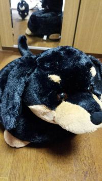 HUGFUNアニマルクッション　ダックス