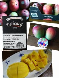 マンゴー購入しました♥