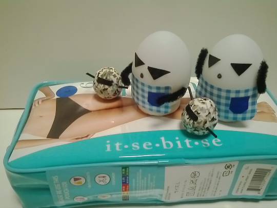 話題のショーツってこれですか？