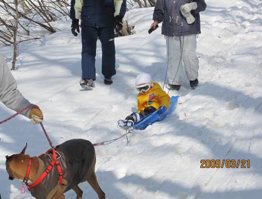 第三だん動物好き集まれ(*^▽^)/★*☆♪