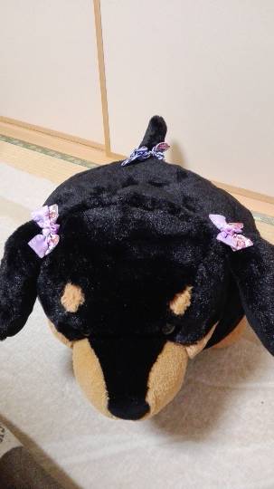 つぶやきコーナー17 いろんな話を楽しくつぶつぶ