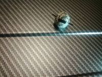 入れ子式スーツケース見た方いますか？