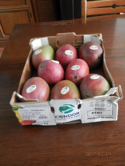 T-falロードショー(2/4多摩境)