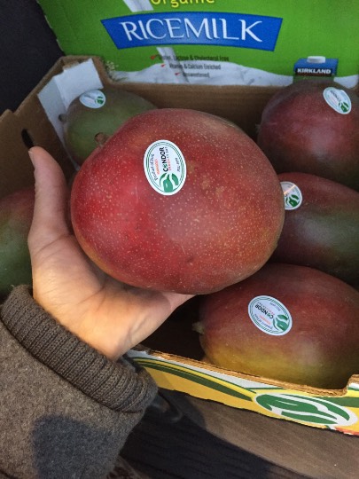 ひたちなか3日 昼頃