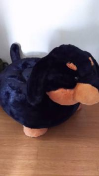 ダックスのぬいぐるみ