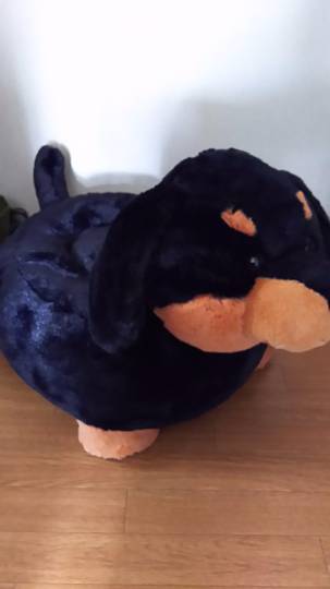 ダックスのぬいぐるみ