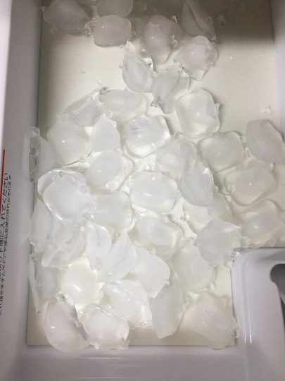 冷蔵庫のなかがぁ…。