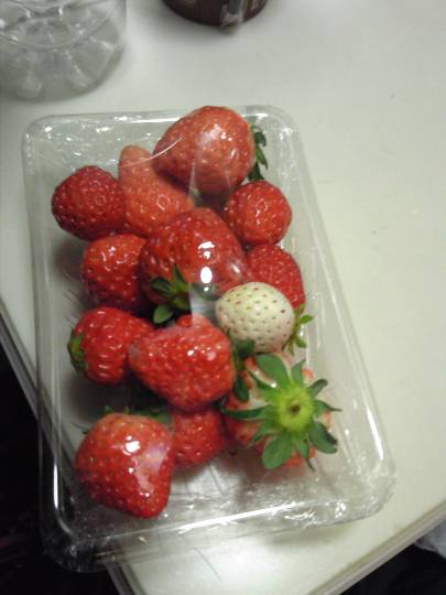 つぶやきコーナー31 雑談板ビギナーから常連まで、ちょっと話してみたいコトはこちらにどうぞ