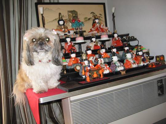 生き物ルーム第７段