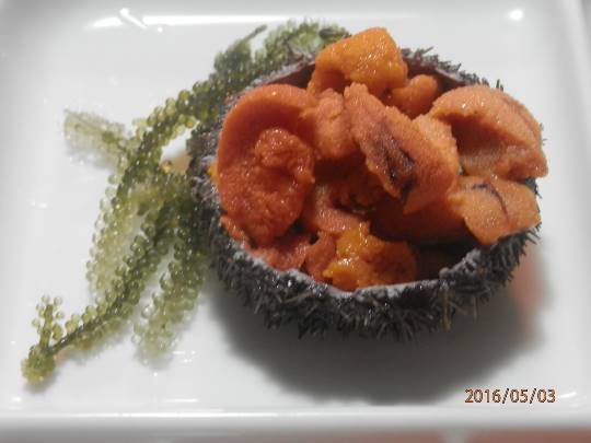 南関東イドバタ会議話し足りない人はこちら。レリゴー南関東地元ネタ歓迎ありのままで喋りましょう