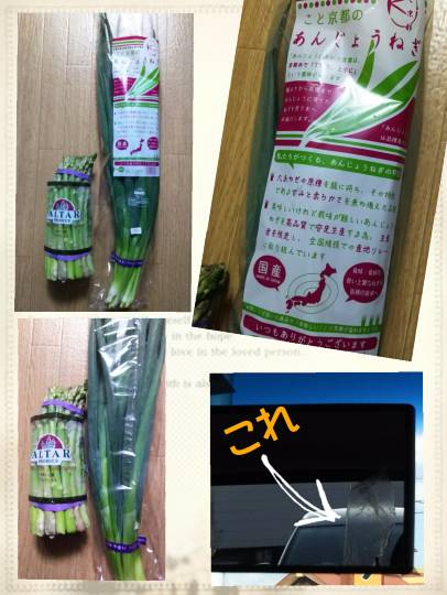 つぶやきコーナー31 雑談板ビギナーから常連まで、ちょっと話してみたいコトはこちらにどうぞ