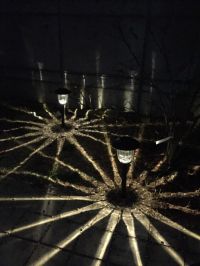 LED ソーラーライト、庭に置いてみました