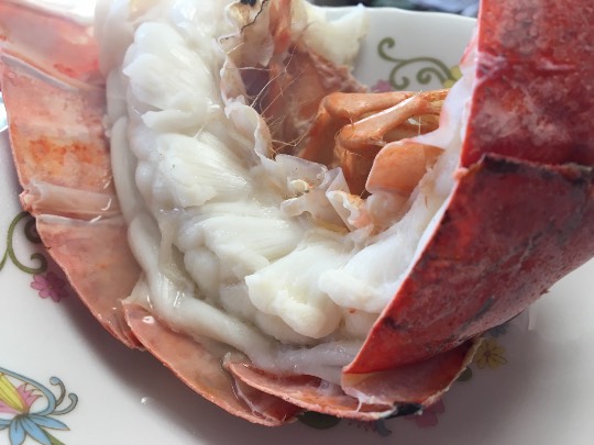 南関東イドバタ会議話し足りない人はこちら。レリゴー南関東地元ネタ歓迎ありのままで喋りましょう