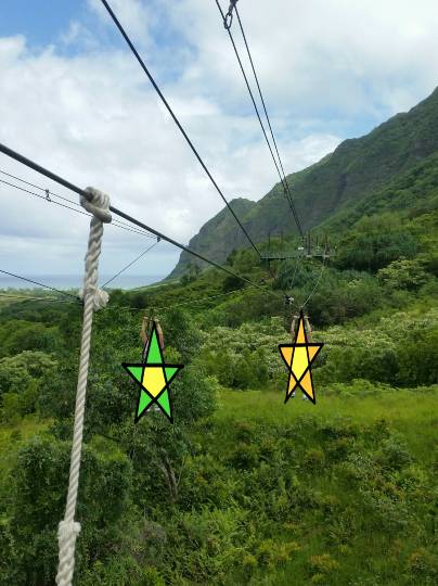 ひとりで【ハワイアンフェア】開催！ハワイに行った事有る方も無い方も一緒にワイワイしませんか♪