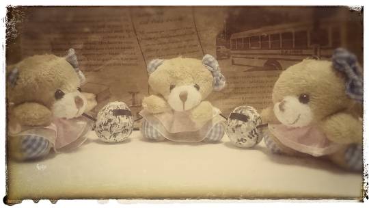 つぶやきコーナー33 初心者歓迎 千客万来 笑いの窓は大開放