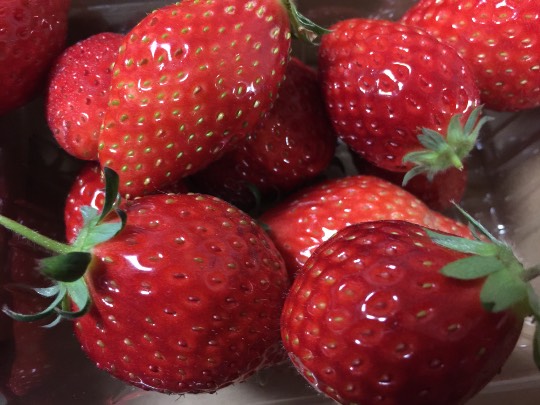 コストコdeエイプリルフール「ご当地物ニュース800」&花見です