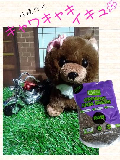 vol.2 南関東イドバタ会議話し足りない人はこちら。南関東連合ありのままで喋りましょう!