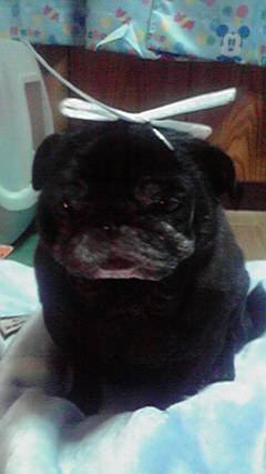 生き物ルーム第7段