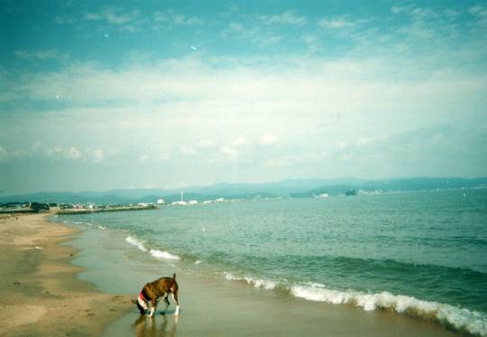 vol.2 南関東イドバタ会議話し足りない人はこちら。南関東連合ありのままで喋りましょう!