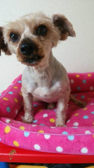 生き物ルーム第7段