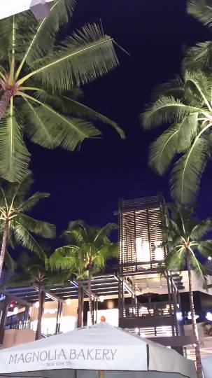 ハワイフェア 『ハワイアン  デライツ』ハワイアン  ホスト チョコレート