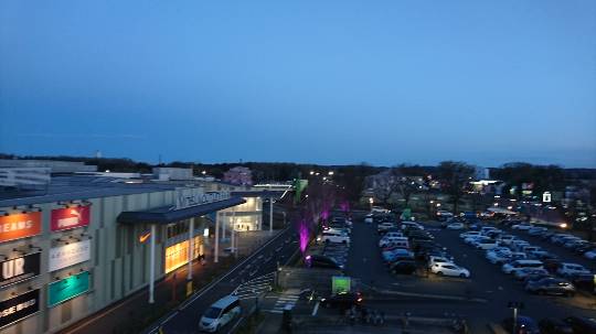 コストコdeエイプリルフール「ご当地物ニュース800」&花見です