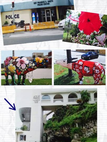 ひとりで【ハワイアンフェア】開催！ハワイに行った事有る方も無い方も一緒にワイワイしませんか♪