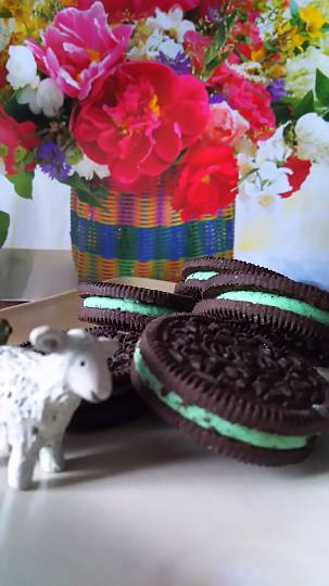 ひとりで【ハワイアンフェア】開催！ハワイに行った事有る方も無い方も一緒にワイワイしませんか♪