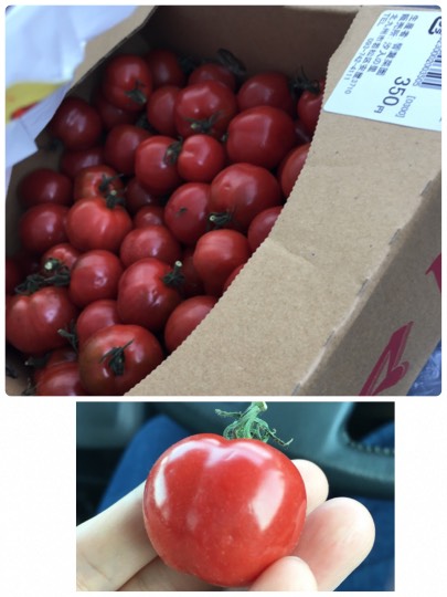 ❆九州エリアから ファンの集い❆Let it go♡Let it go♡1000まで届け.｡:*ﾟ❅*ﾟ･.｡.:*❅..✲*ﾟ