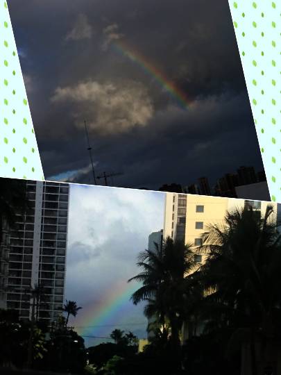 ひとりで【ハワイアンフェア】開催！ハワイに行った事有る方も無い方も一緒にワイワイしませんか♪