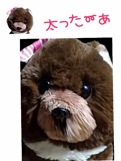 EGG'S CAFE 　入院中編？