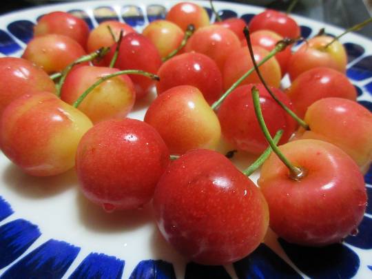 vol.3南関東イドバタ会議話し足りない人はこちら。愛調南関東連合ありのままで喋りましょう！