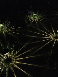 LEDソーラーライト