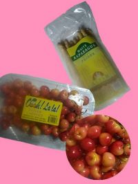 5/27(土)昼のシーサイド情報です