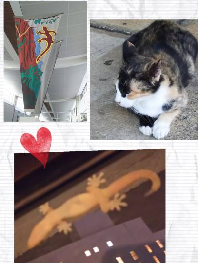 生き物ルーム第7段