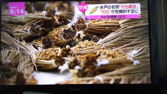 【新トピ・北関東板】のんびり☆ゆるゆる☆出入り自由だぁ♪みんなぁ集まれ~♪(*^^*)