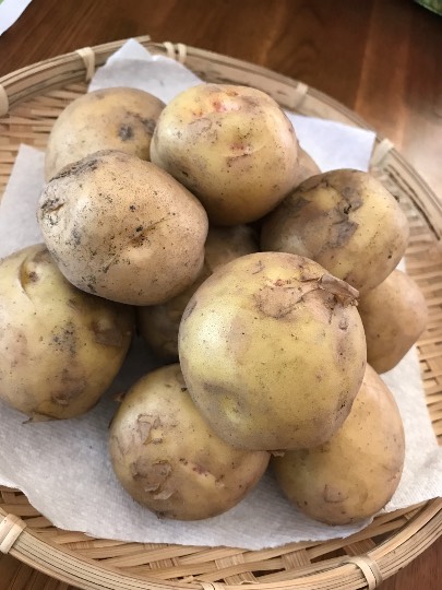 ❆新 九州の集い❆Let it go♡Let it go♡天(1000)まで届け.｡:*ﾟ❅