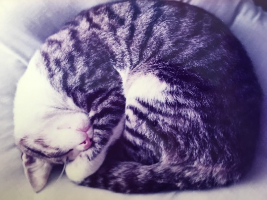 生き物ルーム第7段