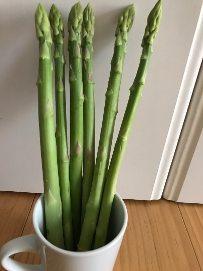 つぶやきコーナー、その36(チョッとしたつぶやきはコチラをどうぞ)