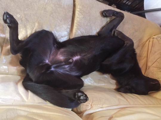 GWですね~(^^♪お休みの方もそうでない方も何か楽しいこと予定されてますか~?