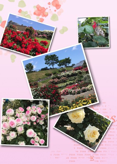 ❆新 九州の集い❆Let it go♡Let it go♡天(1000)まで届け.｡:*ﾟ❅