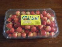 5/27(土)9時半過ぎの多摩境情報です。【レイニアチェリー、アボカドチーズタルト、あり】